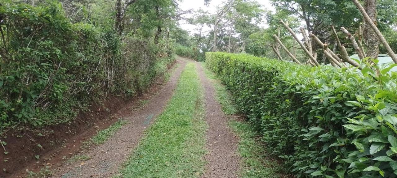 Pochote Lodge Guayabo  외부 사진