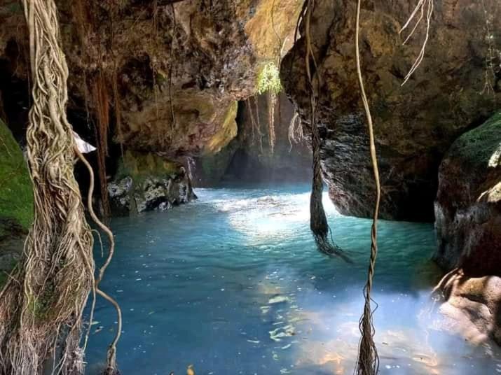Pochote Lodge Guayabo  외부 사진