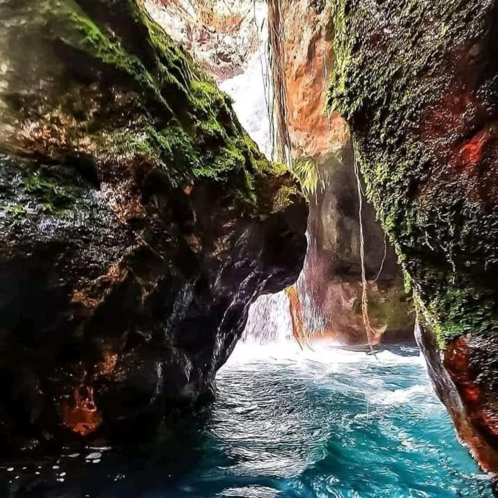 Pochote Lodge Guayabo  외부 사진