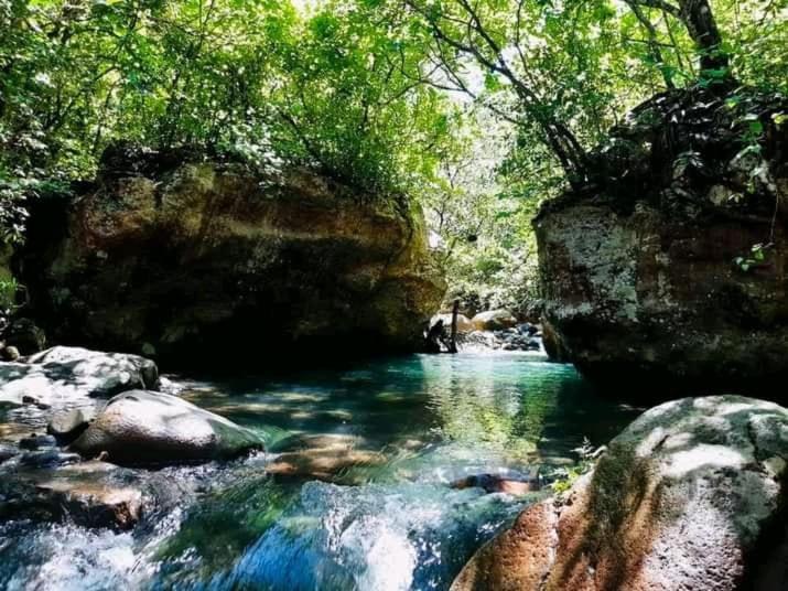 Pochote Lodge Guayabo  외부 사진