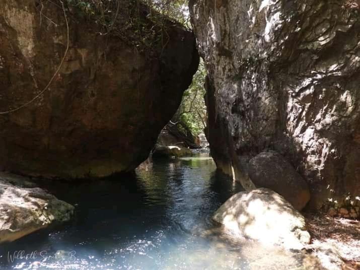 Pochote Lodge Guayabo  외부 사진