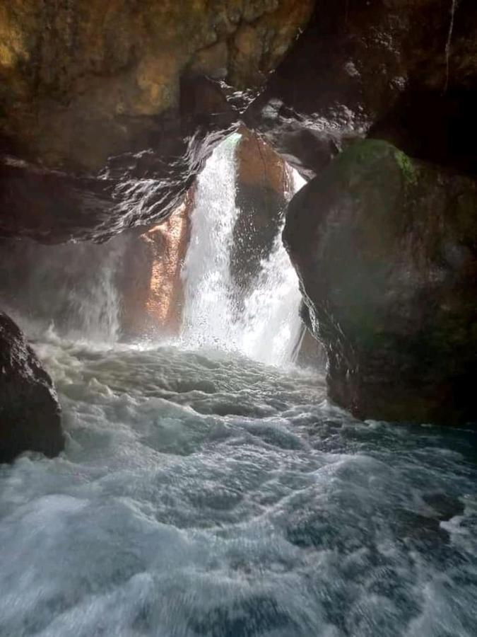 Pochote Lodge Guayabo  외부 사진