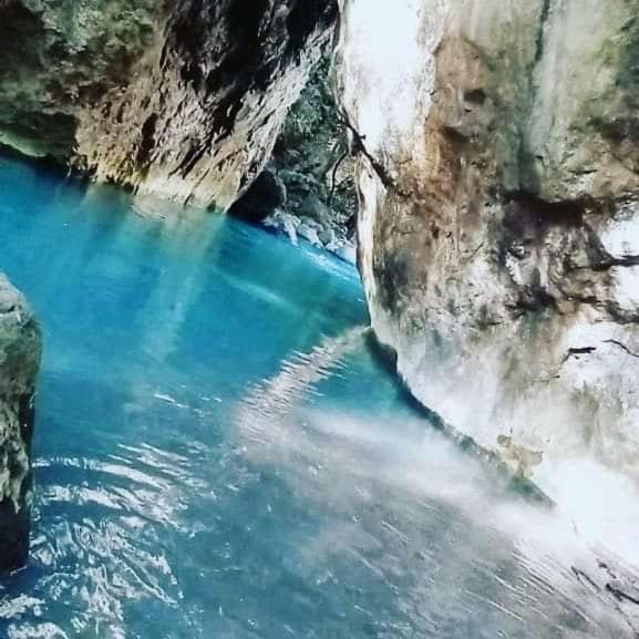 Pochote Lodge Guayabo  외부 사진