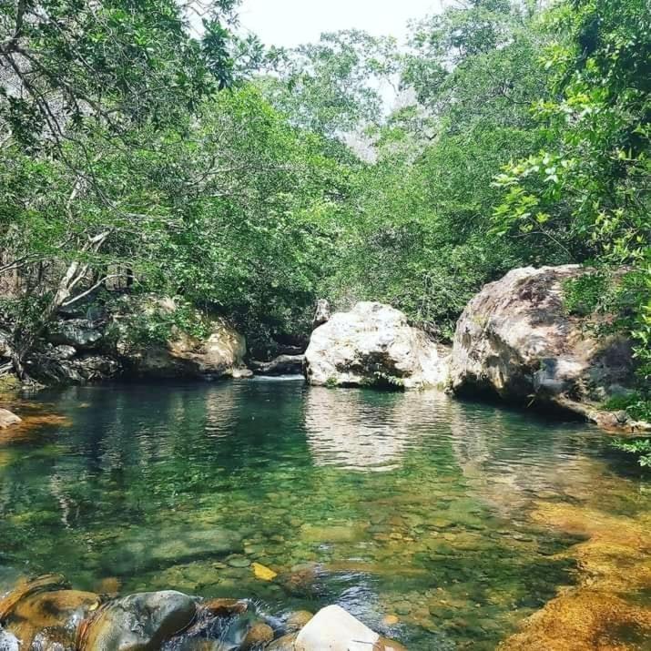 Pochote Lodge Guayabo  외부 사진