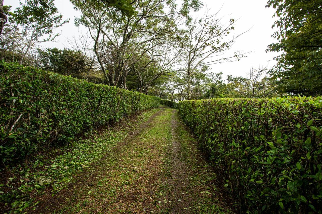 Pochote Lodge Guayabo  외부 사진