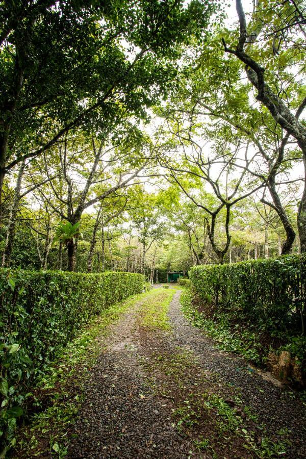 Pochote Lodge Guayabo  외부 사진